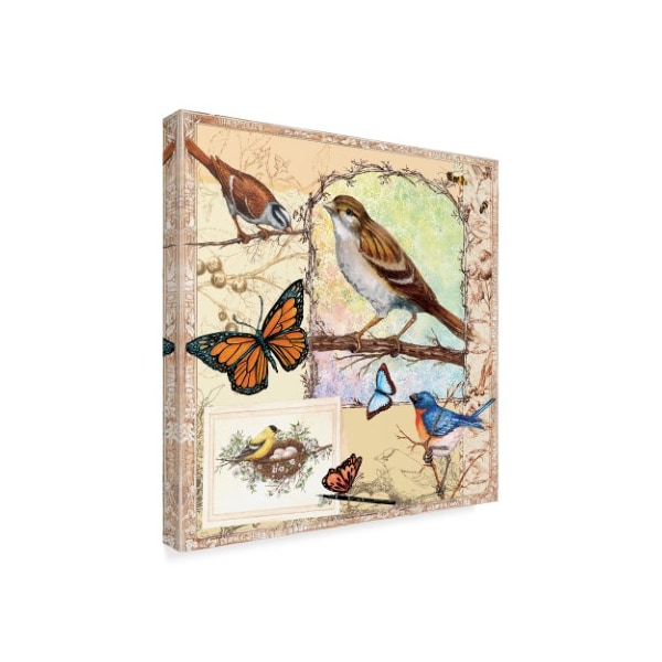 Sher Sester 'Birds Butterflies Bees Pastels' Canvas Art,35x35